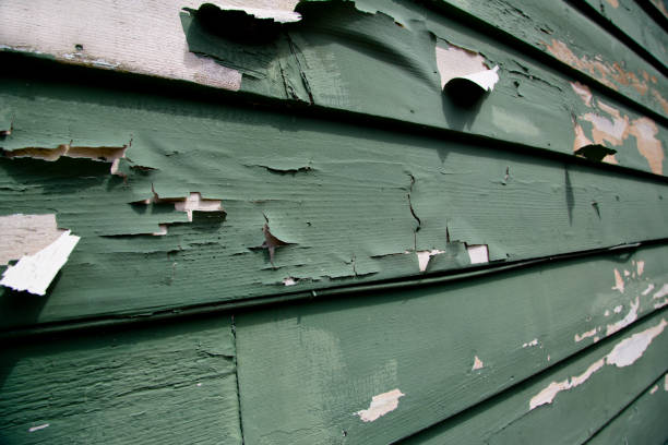 Shasta, CA Junk Removal Pros