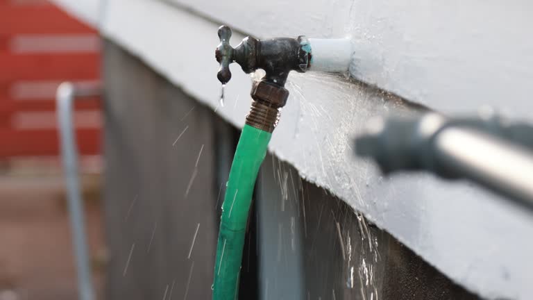 Best Shed Removal  in Shasta, CA